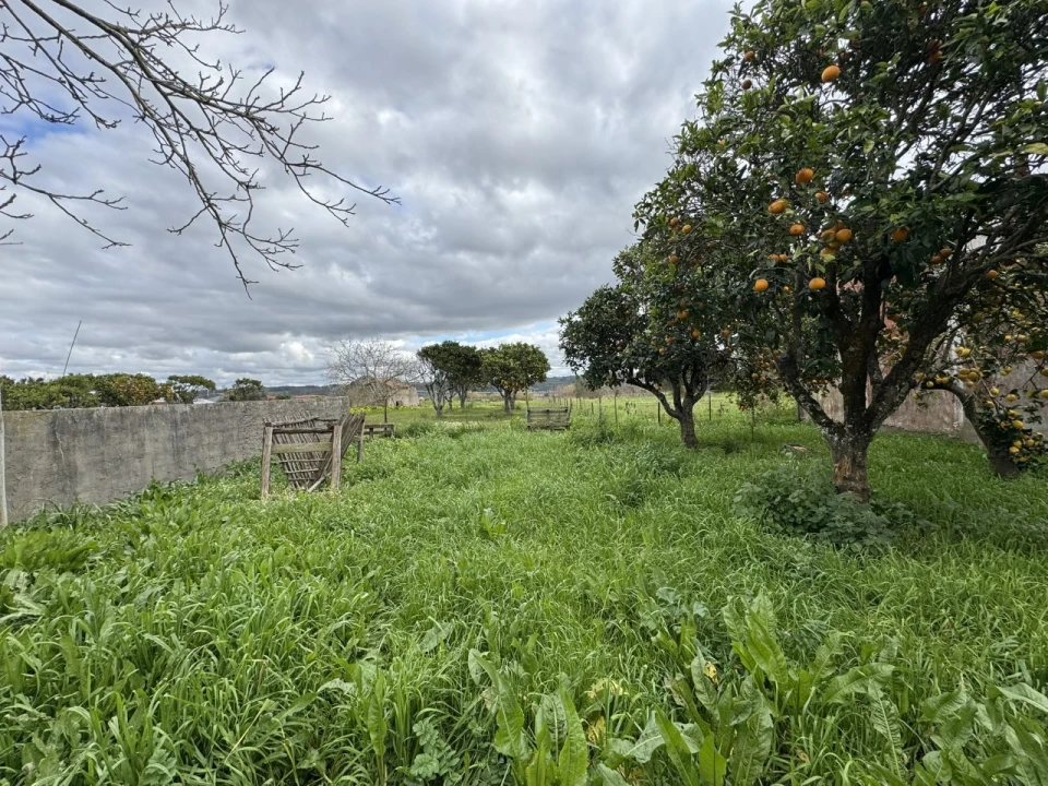 Moradia T4 para Venda em Alqueidão Foto 38