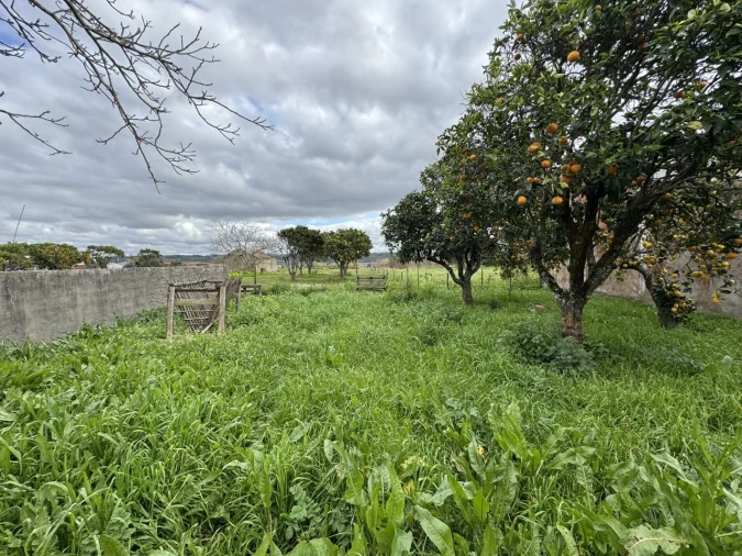 Moradia T4 para Venda em Alqueidão Foto 36