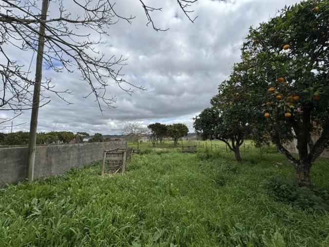 Moradia T4 para Venda em Alqueidão Foto 37