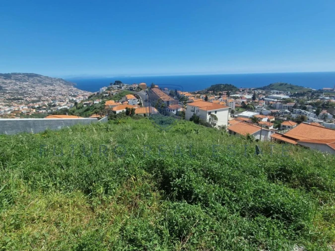 Terreno para Venda em Santo Antonio Foto 3