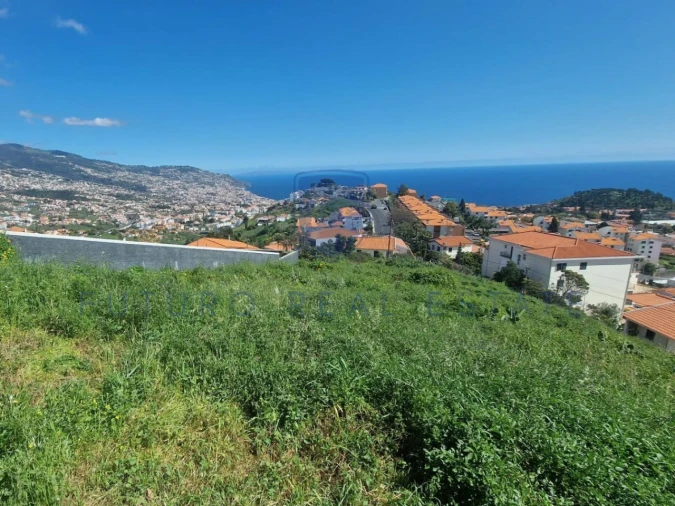 Terreno para Venda em Santo Antonio Foto 4