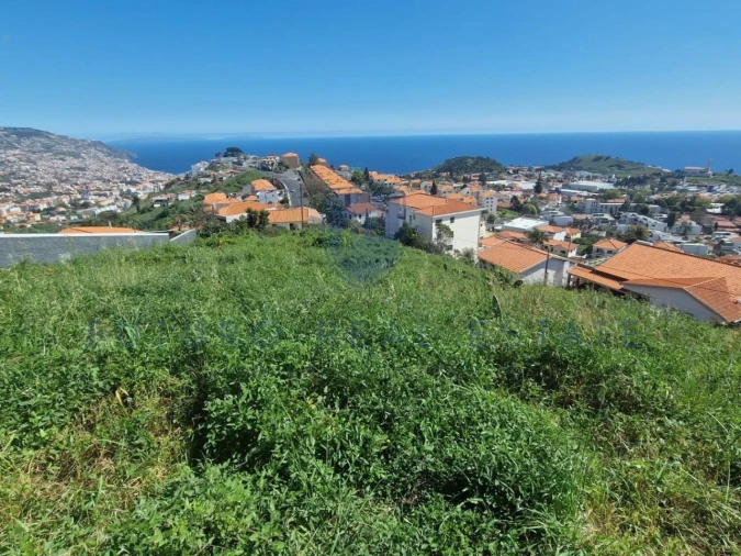 Terreno para Venda em Santo Antonio Foto 8