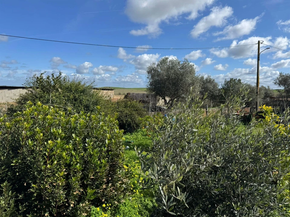 Moradia T2 para Venda em Santa Barbara de Padrões Foto 6