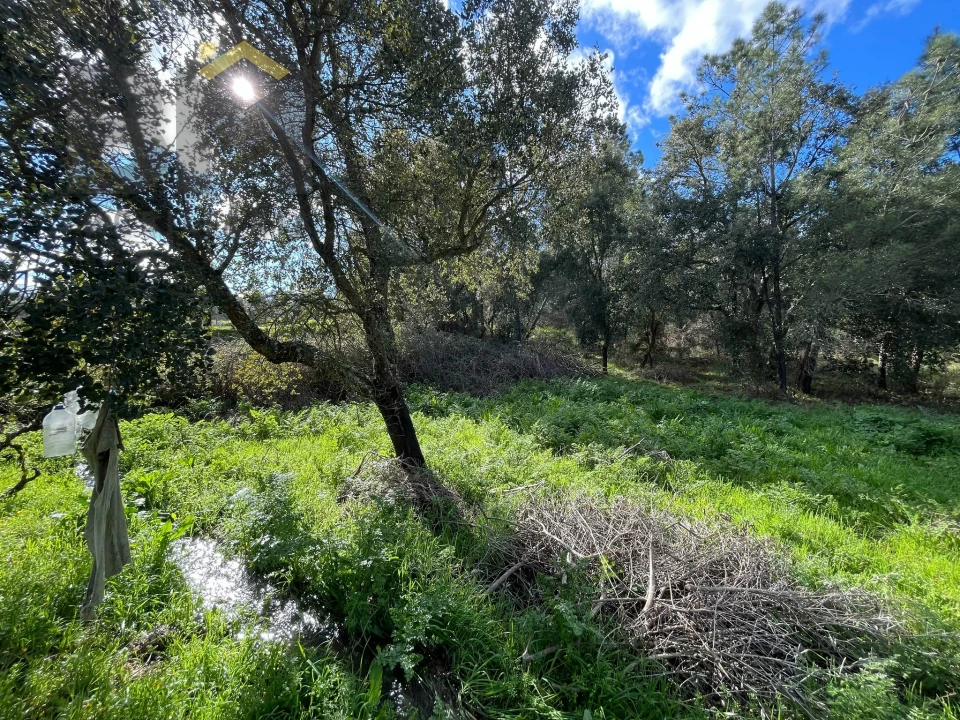 Terreno Agricola ou Rústico para Venda em Salgueiro do Campo Foto 5