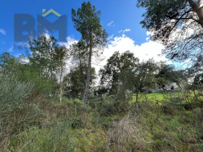 Terreno Agricola ou Rústico para Venda em Salgueiro do Campo Foto 8