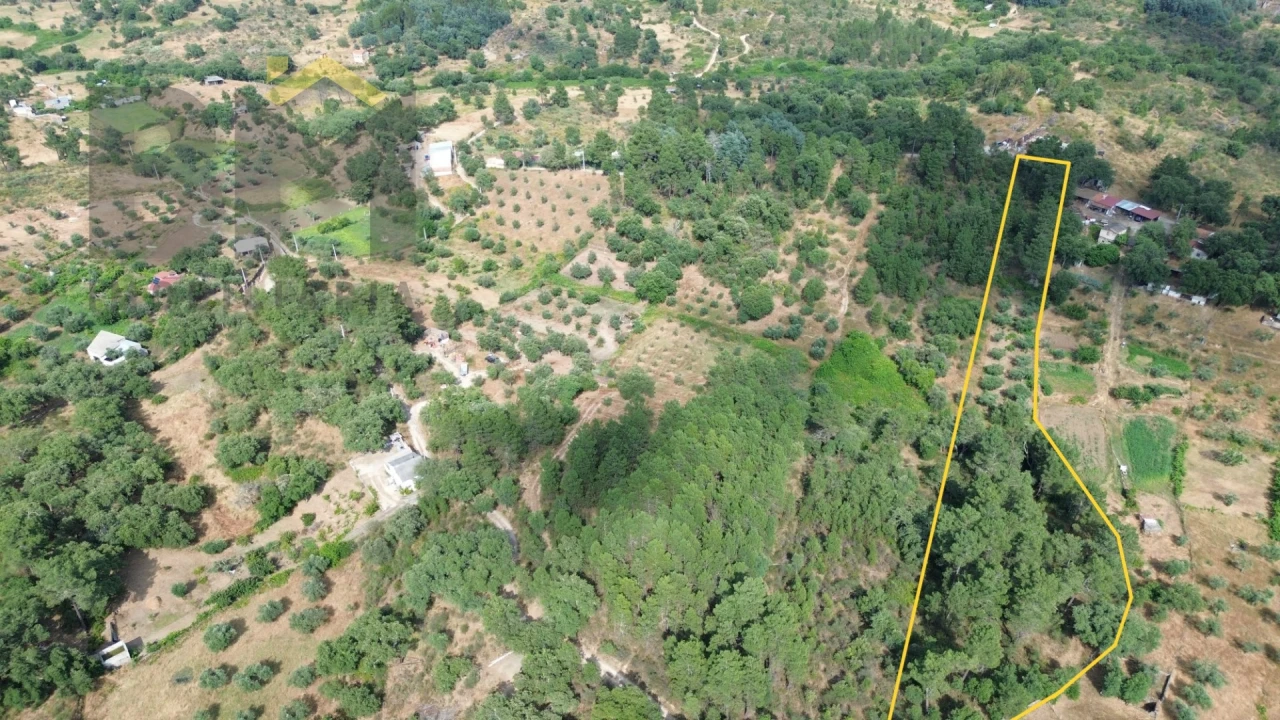 Terreno Agricola ou Rústico para Venda em Salgueiro do Campo Foto 14