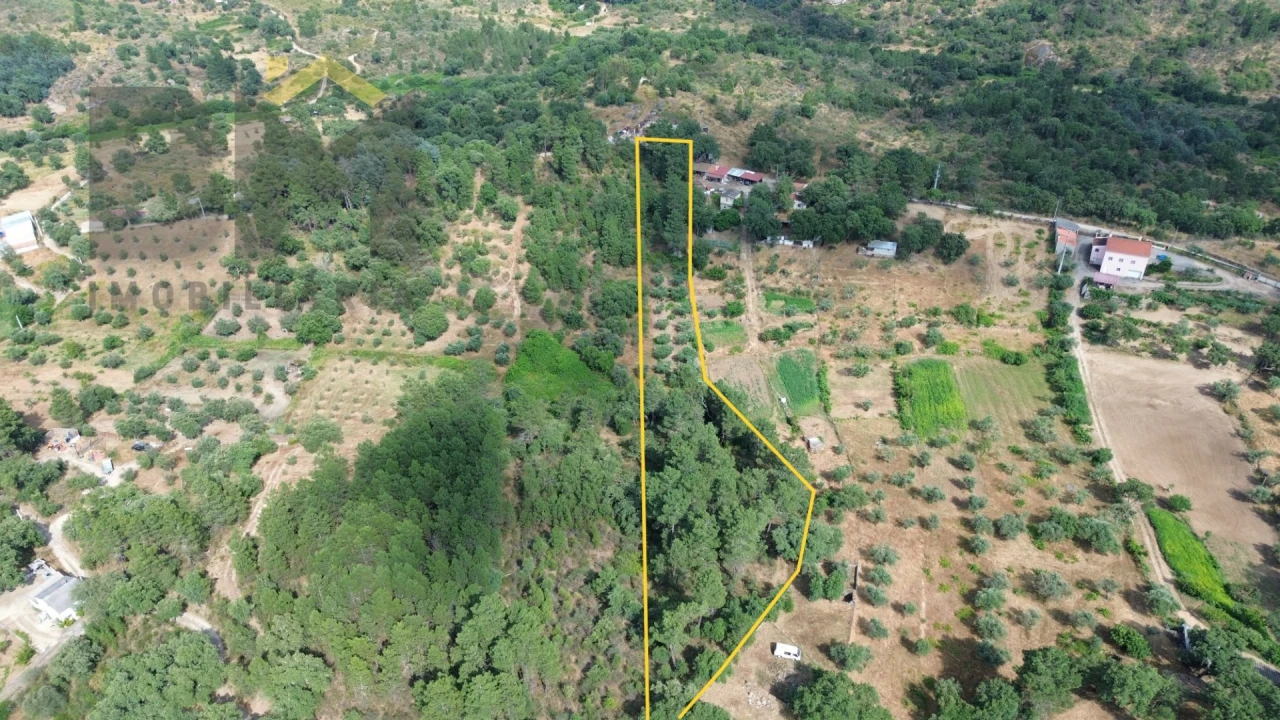 Terreno Agricola ou Rústico para Venda em Salgueiro do Campo Foto 1