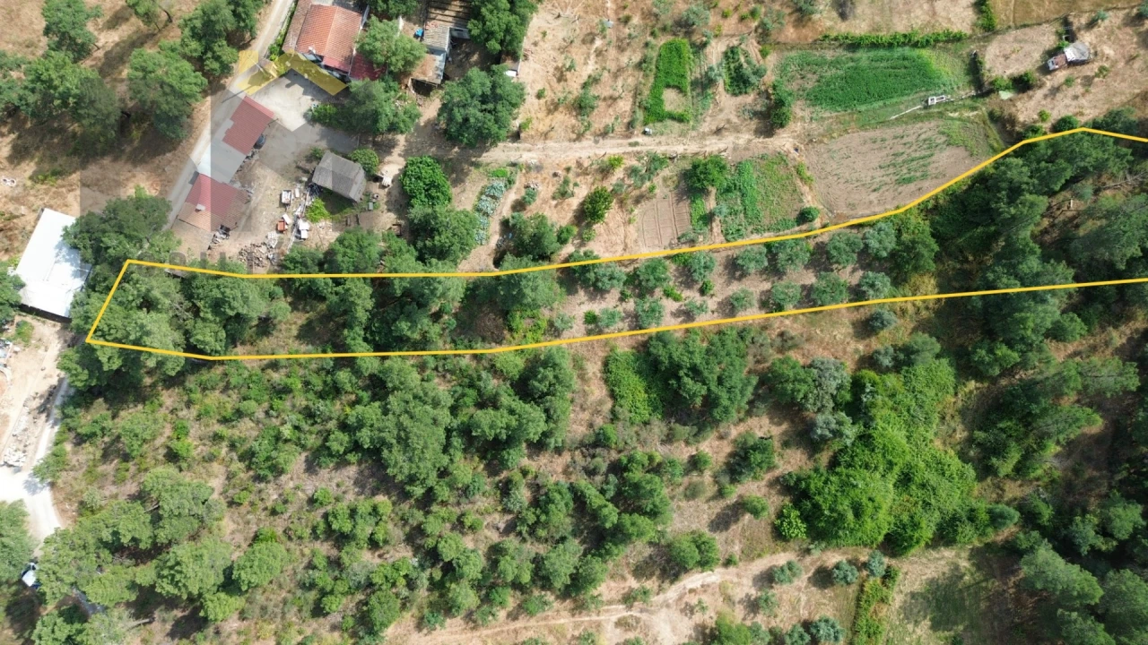 Terreno Agricola ou Rústico para Venda em Salgueiro do Campo Foto 2