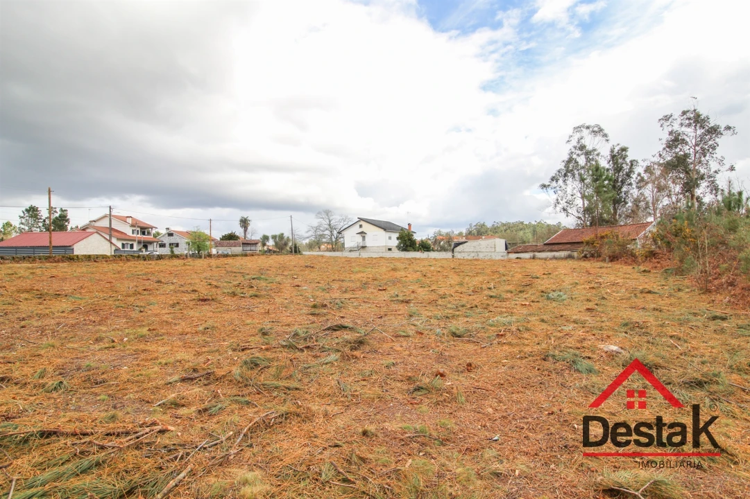 Terreno para Venda em Carvalhais e Candal Foto 9