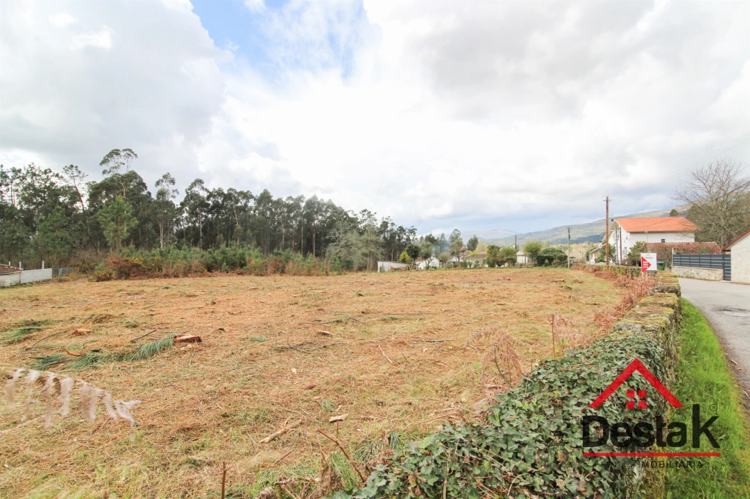 Terreno para Venda em Carvalhais e Candal Foto 5