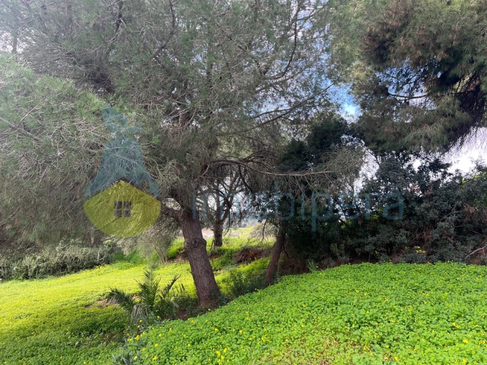 Terreno para Venda em Guia Foto 8