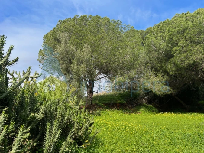 Terreno para Venda em Guia Foto 1