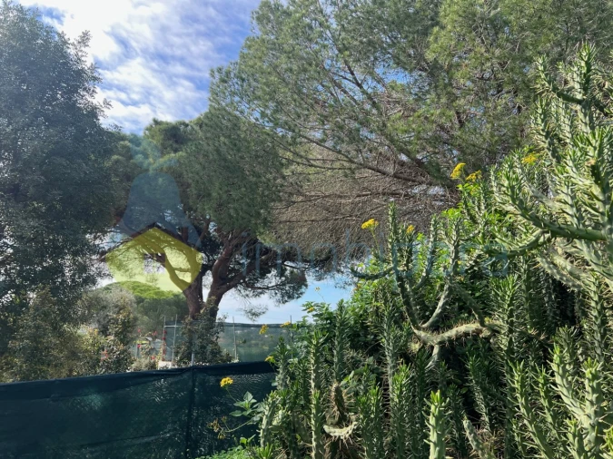 Terreno para Venda em Guia Foto 2