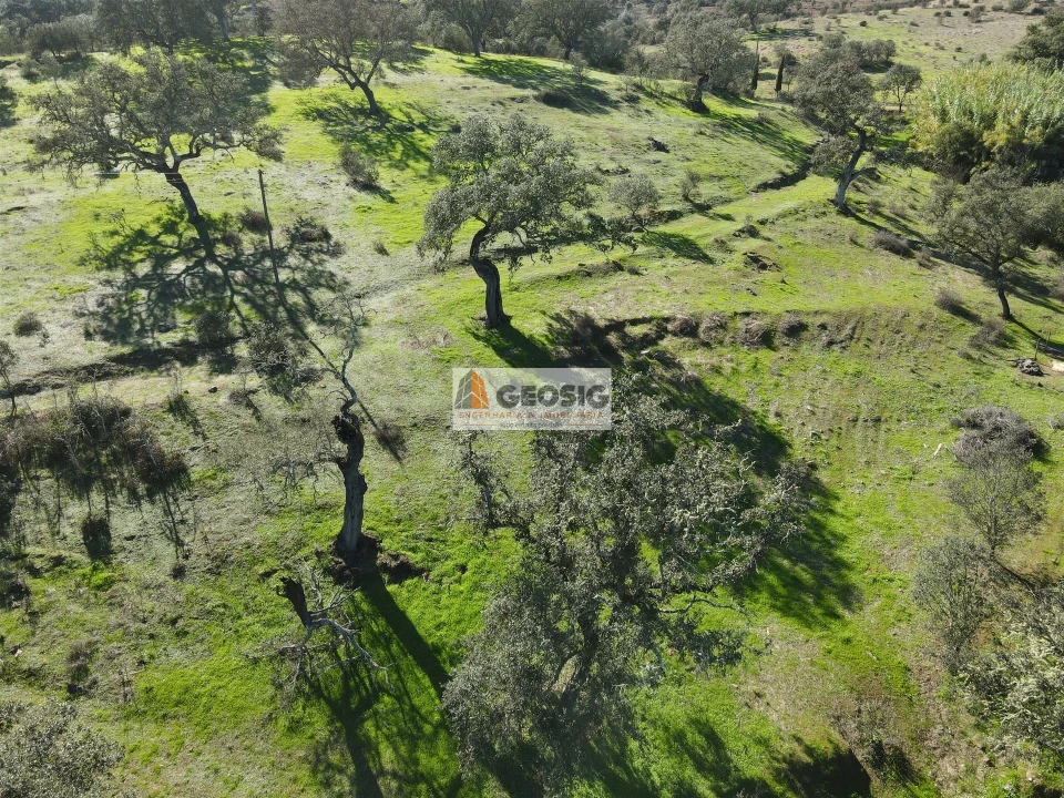 Quinta T2 para Venda em Santa Clara-A-Nova e Gomes Aires Foto 49