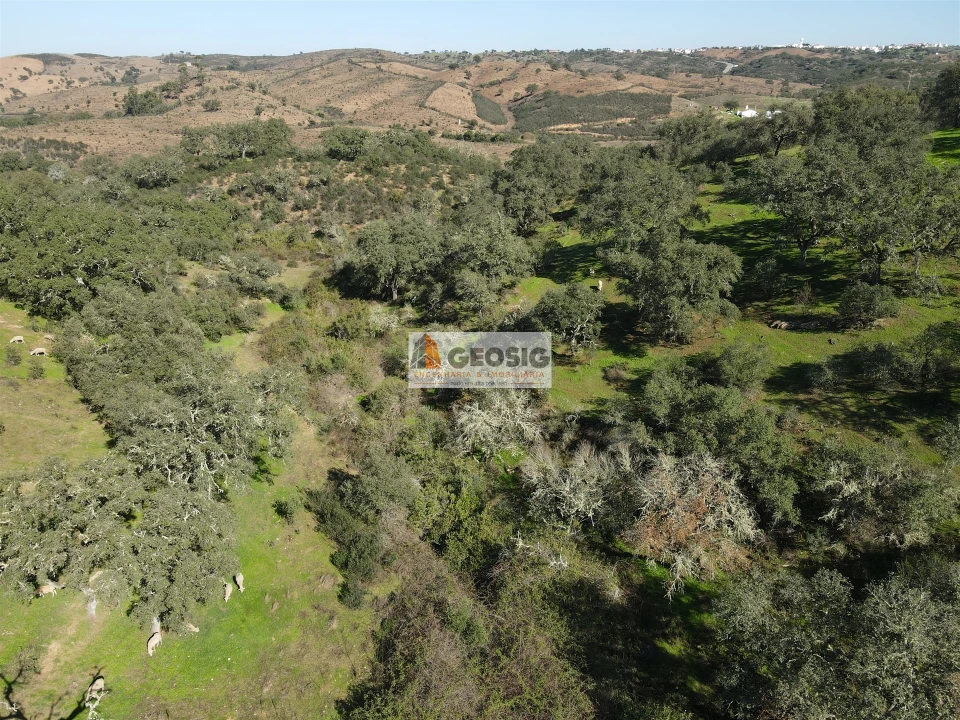 Quinta T2 para Venda em Santa Clara-A-Nova e Gomes Aires Foto 42