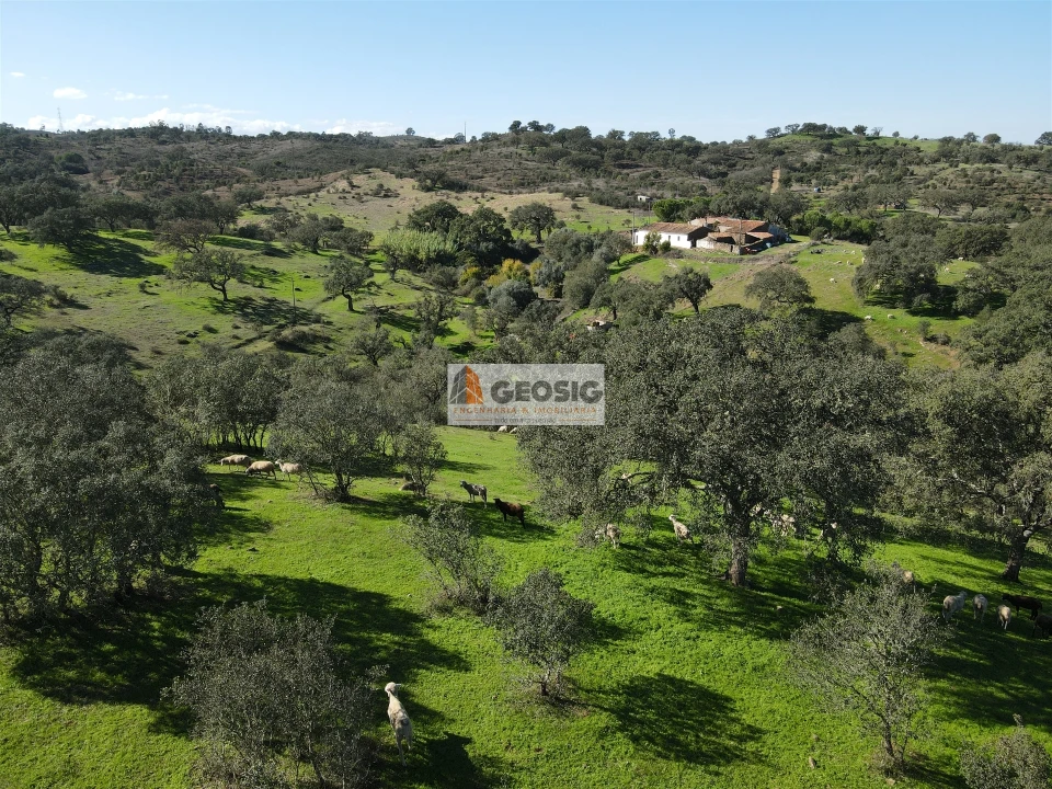 Quinta T2 para Venda em Santa Clara-A-Nova e Gomes Aires Foto 48