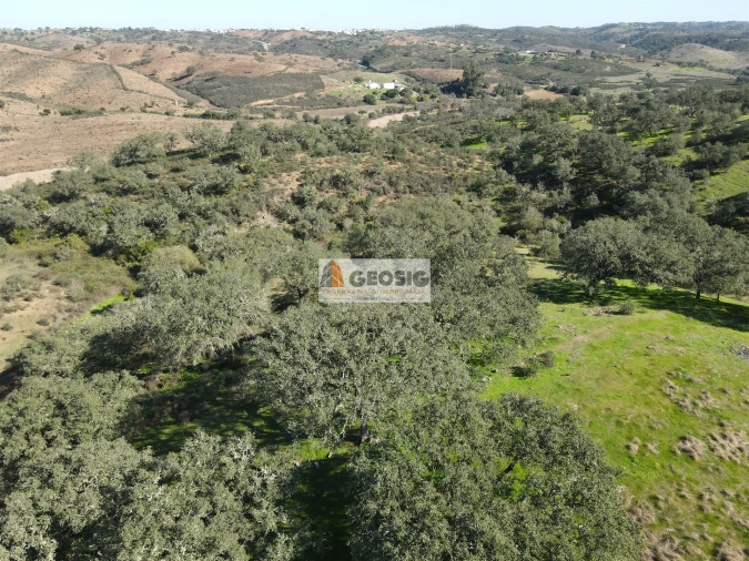 Quinta T2 para Venda em Santa Clara-A-Nova e Gomes Aires Foto 41