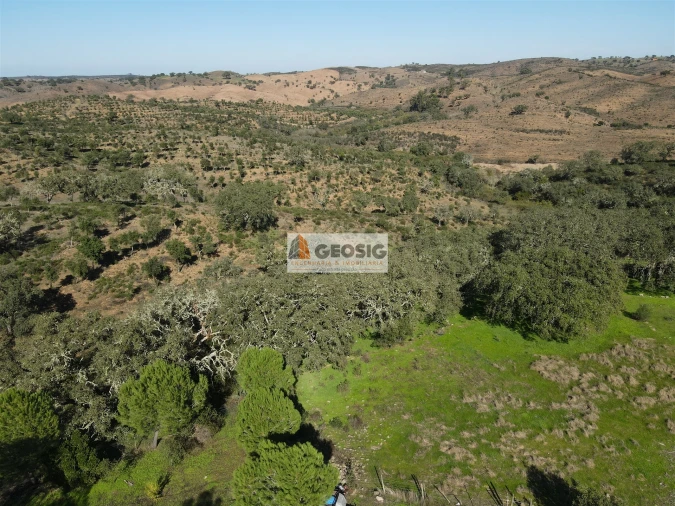 Quinta T2 para Venda em Santa Clara-A-Nova e Gomes Aires Foto 52