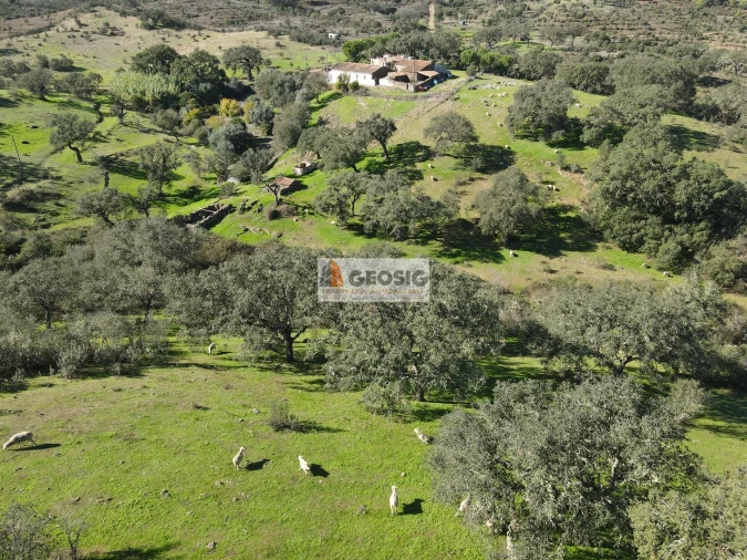 Quinta T2 para Venda em Santa Clara-A-Nova e Gomes Aires Foto 32