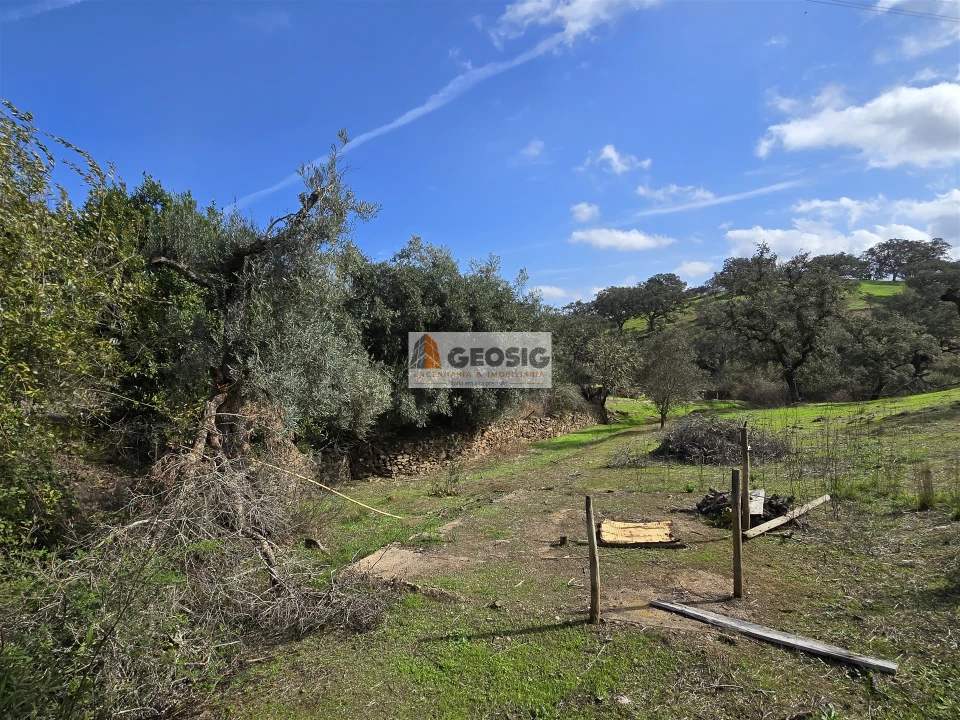 Quinta T2 para Venda em Santa Clara-A-Nova e Gomes Aires Foto 39