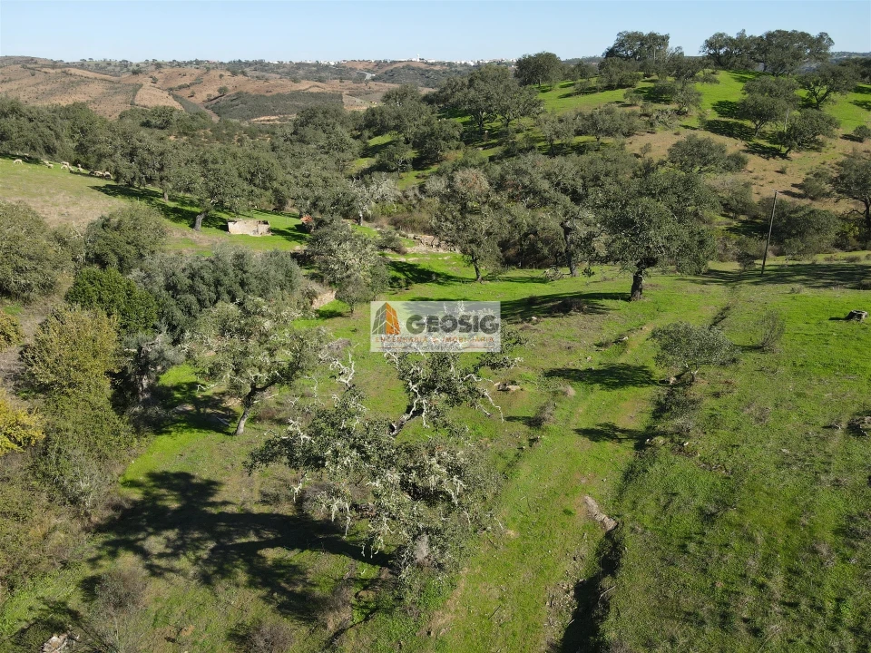 Quinta T2 para Venda em Santa Clara-A-Nova e Gomes Aires Foto 50