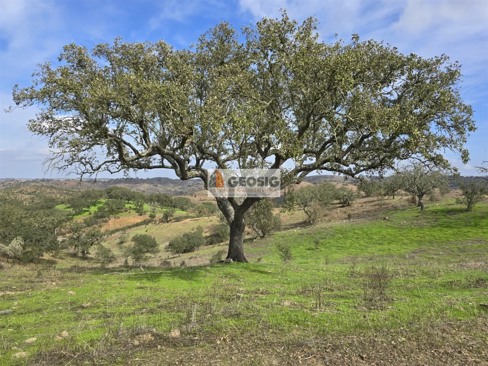 Quinta T2 para Venda em Santa Clara-A-Nova e Gomes Aires Foto 40