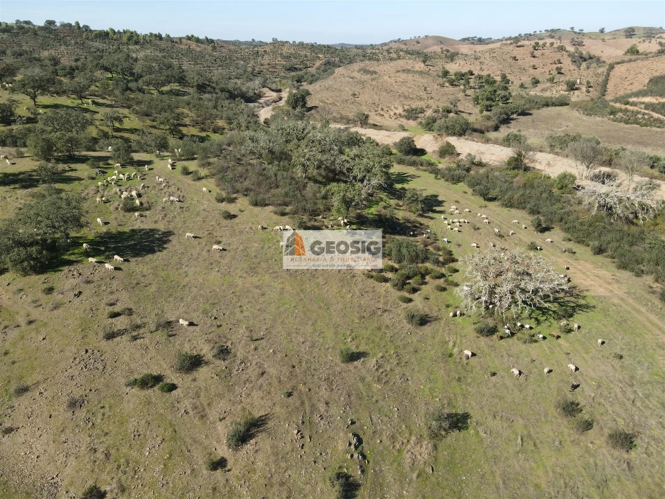 Quinta T2 para Venda em Santa Clara-A-Nova e Gomes Aires Foto 47