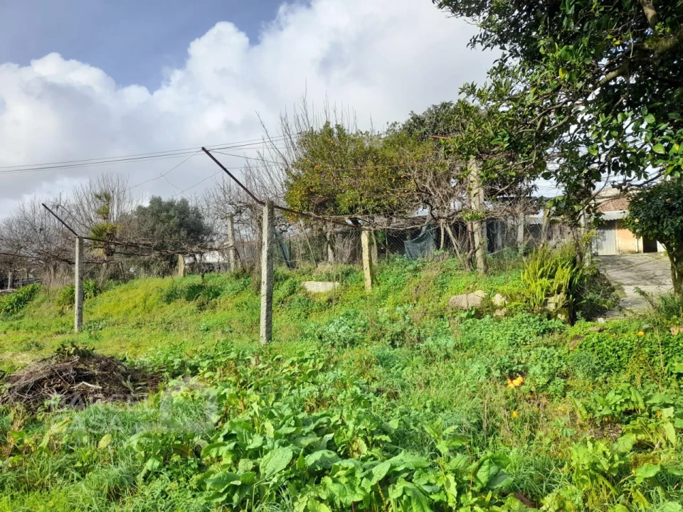 Moradia T4 para Venda em Galegos (São Martinho) Foto 13