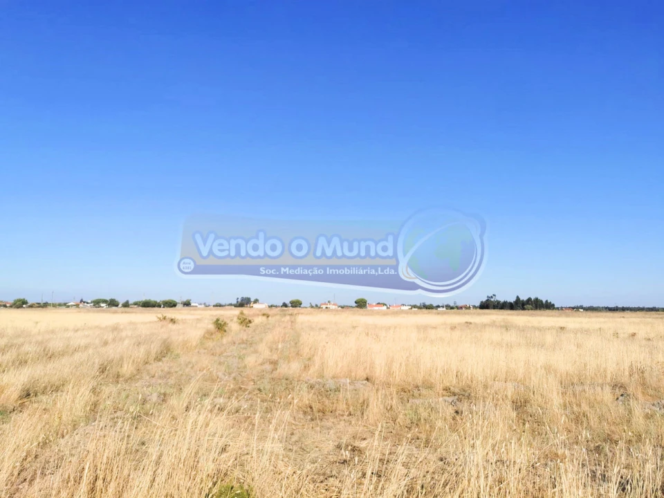 Terreno para Venda em Glória do Ribatejo e Granho Foto 4