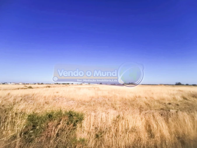 Terreno para Venda em Glória do Ribatejo e Granho Foto 5