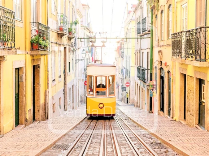 Apartamento para Venda em Misericórdia Foto 19