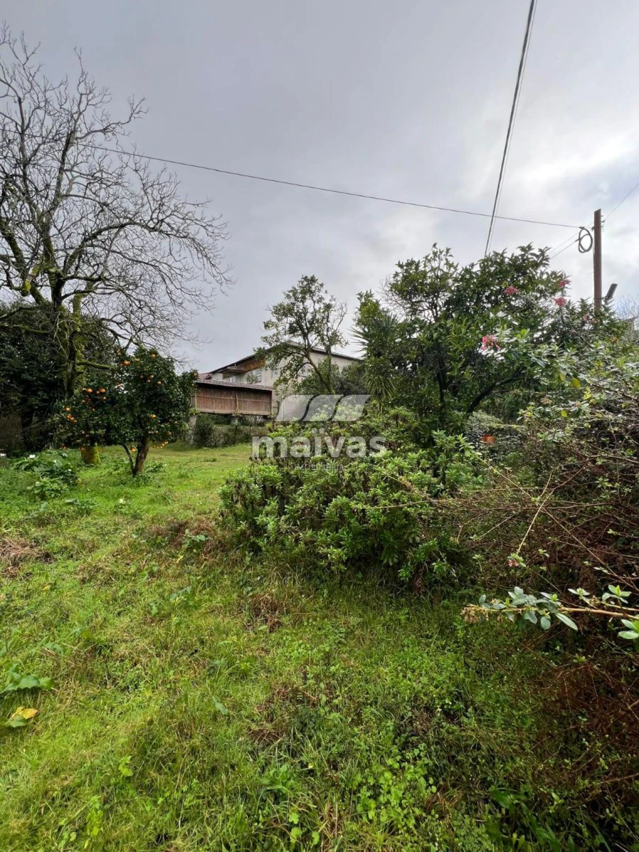 Terreno para Venda em Vila Verde e Barbudo Foto 4