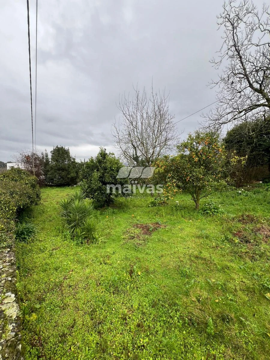 Terreno para Venda em Vila Verde e Barbudo Foto 1