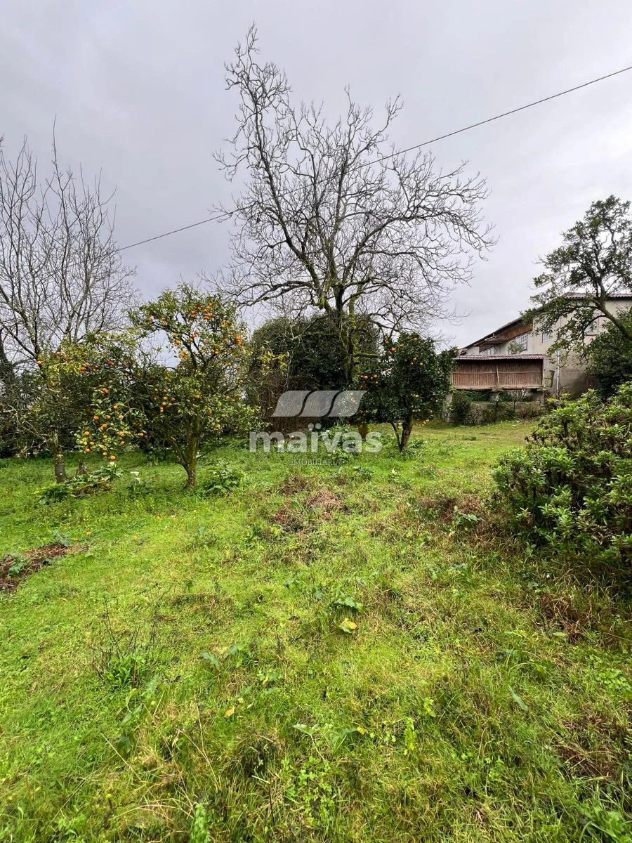 Terreno para Venda em Vila Verde e Barbudo Foto 2