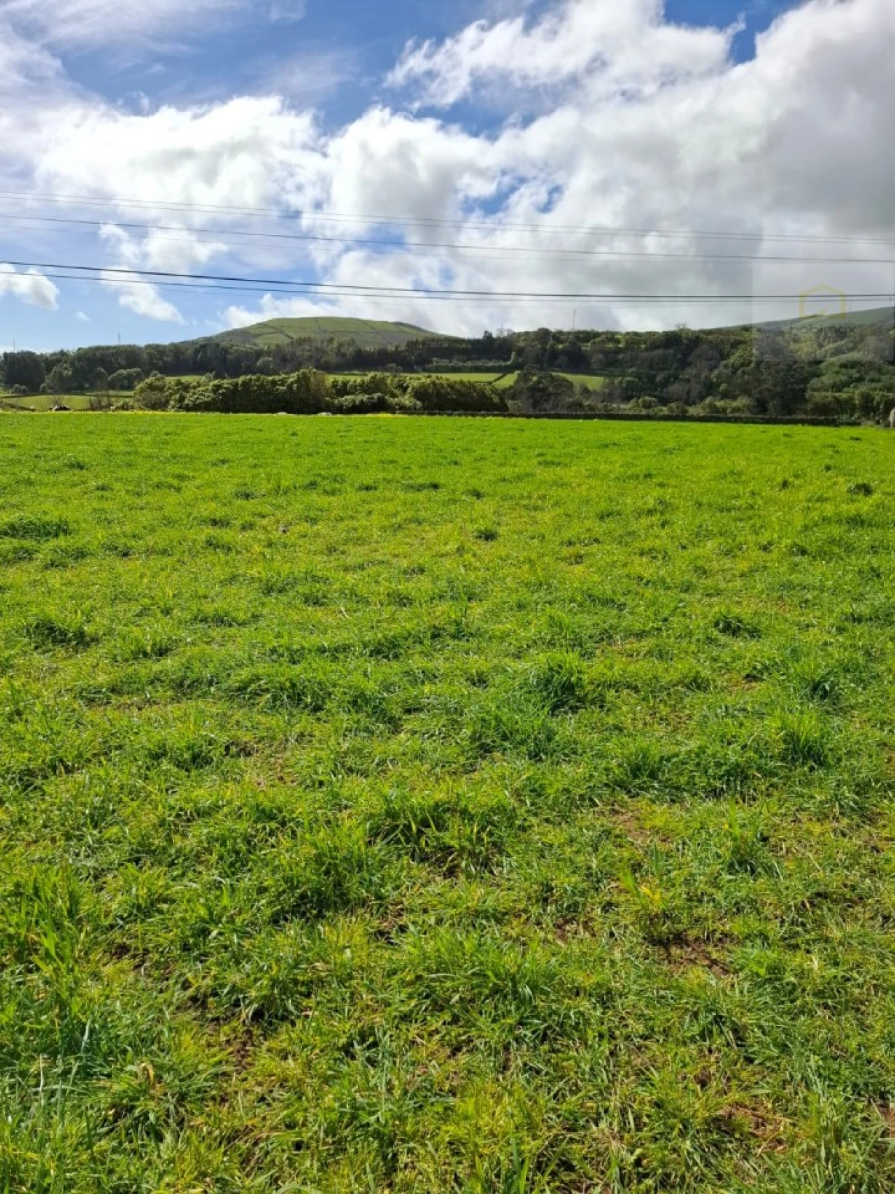 Terreno para Venda em Praia da Vitoria (Santa Cruz) Foto 5
