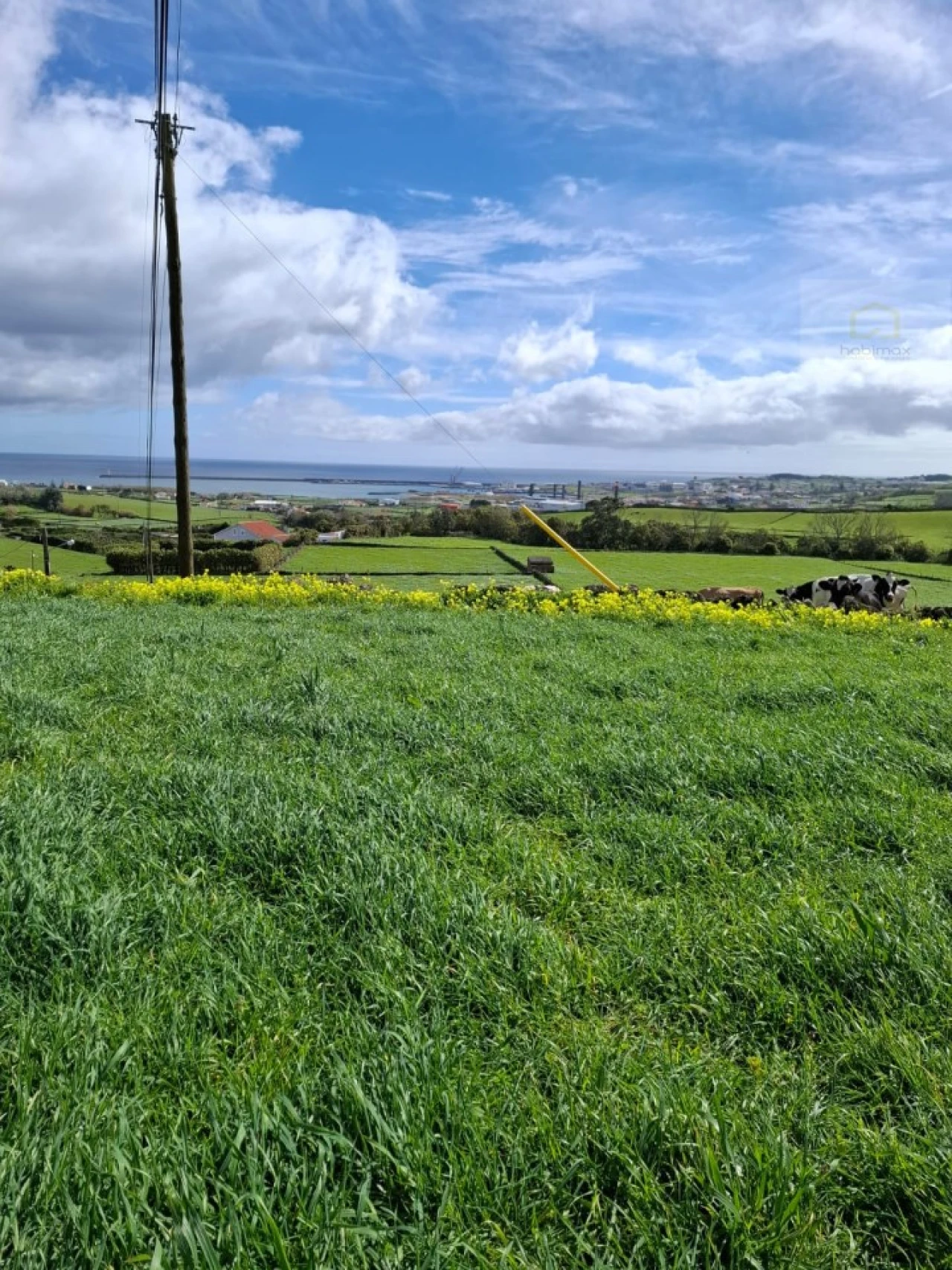 Terreno para Venda em Praia da Vitoria (Santa Cruz) Foto 6