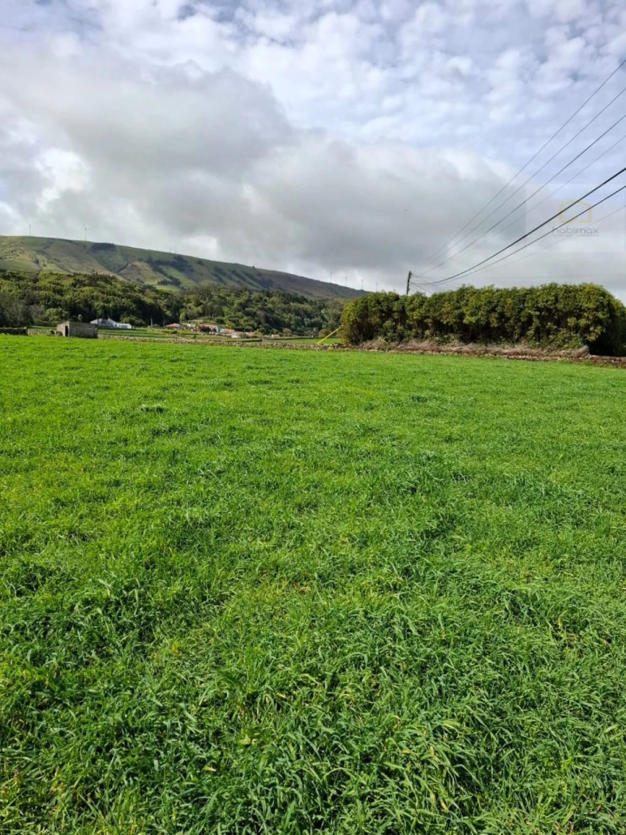 Terreno para Venda em Praia da Vitoria (Santa Cruz) Foto 9