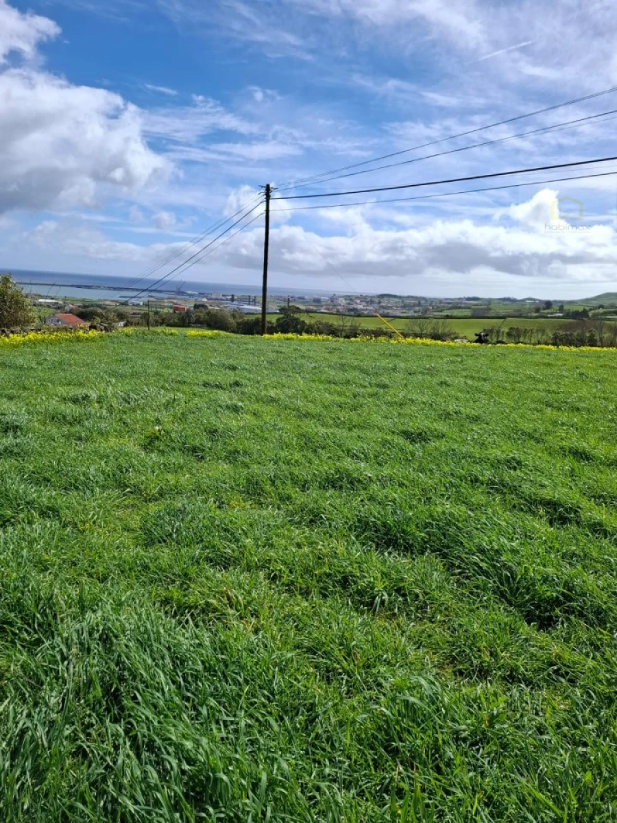 Terreno para Venda em Praia da Vitoria (Santa Cruz) Foto 1