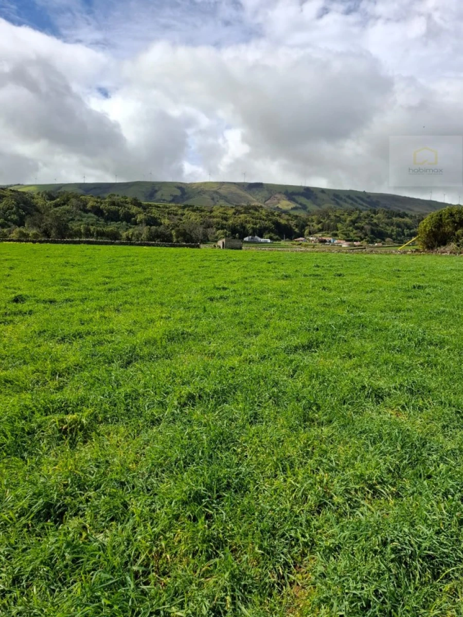 Terreno para Venda em Praia da Vitoria (Santa Cruz) Foto 8