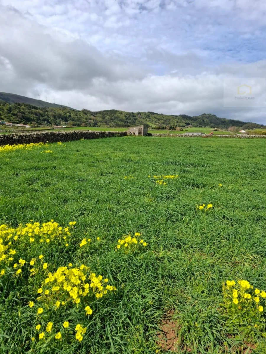 Terreno para Venda em Praia da Vitoria (Santa Cruz) Foto 10