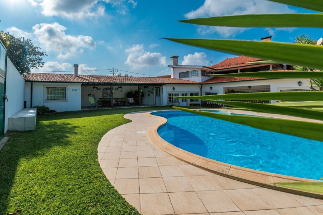 Quinta T10 para Venda em Louriçal Foto 23