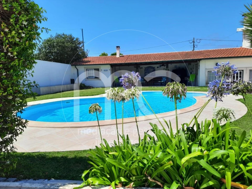 Quinta T10 para Venda em Louriçal Foto 21