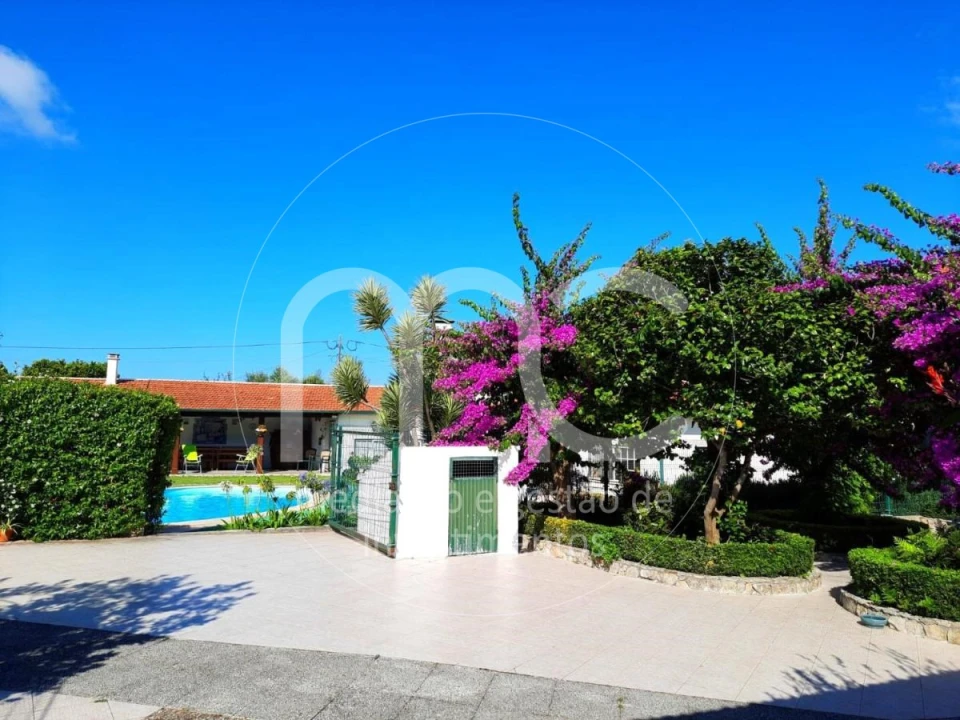 Quinta T10 para Venda em Louriçal Foto 22