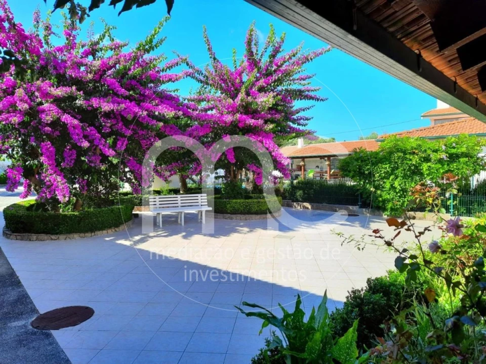 Quinta T10 para Venda em Louriçal Foto 27