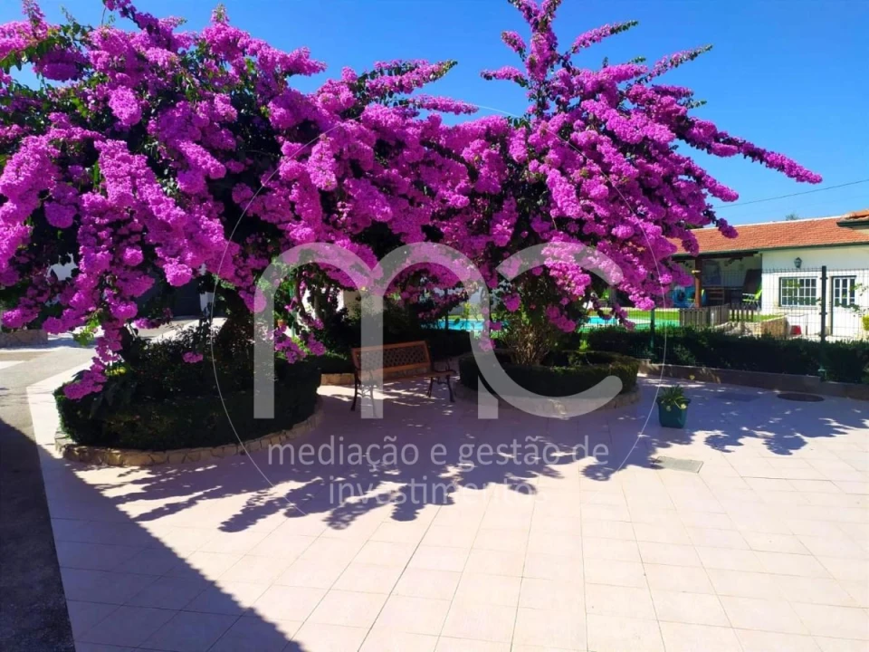 Quinta T10 para Venda em Louriçal Foto 28