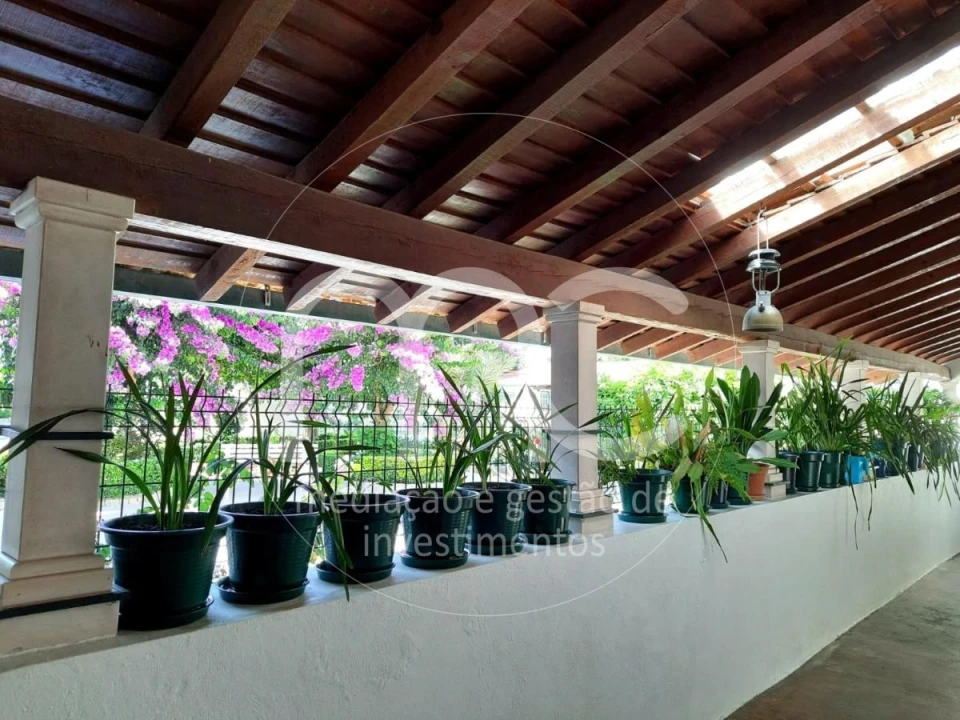 Quinta T10 para Venda em Louriçal Foto 30