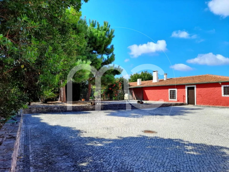 Quinta T10 para Venda em Louriçal Foto 36