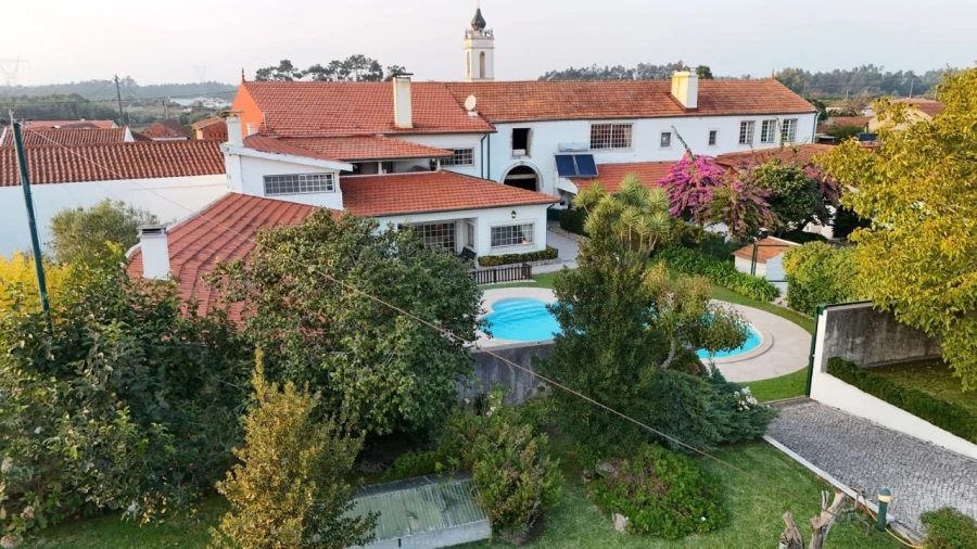 Quinta T10 para Venda em Louriçal Foto 25