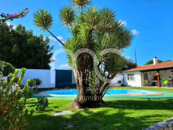 Quinta T10 para Venda em Louriçal Foto 26