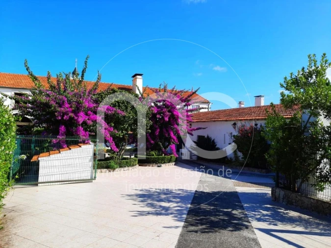 Quinta T10 para Venda em Louriçal Foto 29